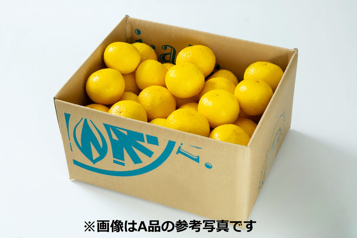 黄金柑 B品 3kg