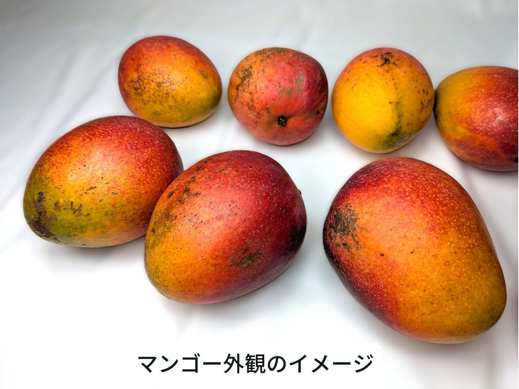 わけあり国産完熟マンゴー – 岡宗農園メリーガーデン オンラインストア
