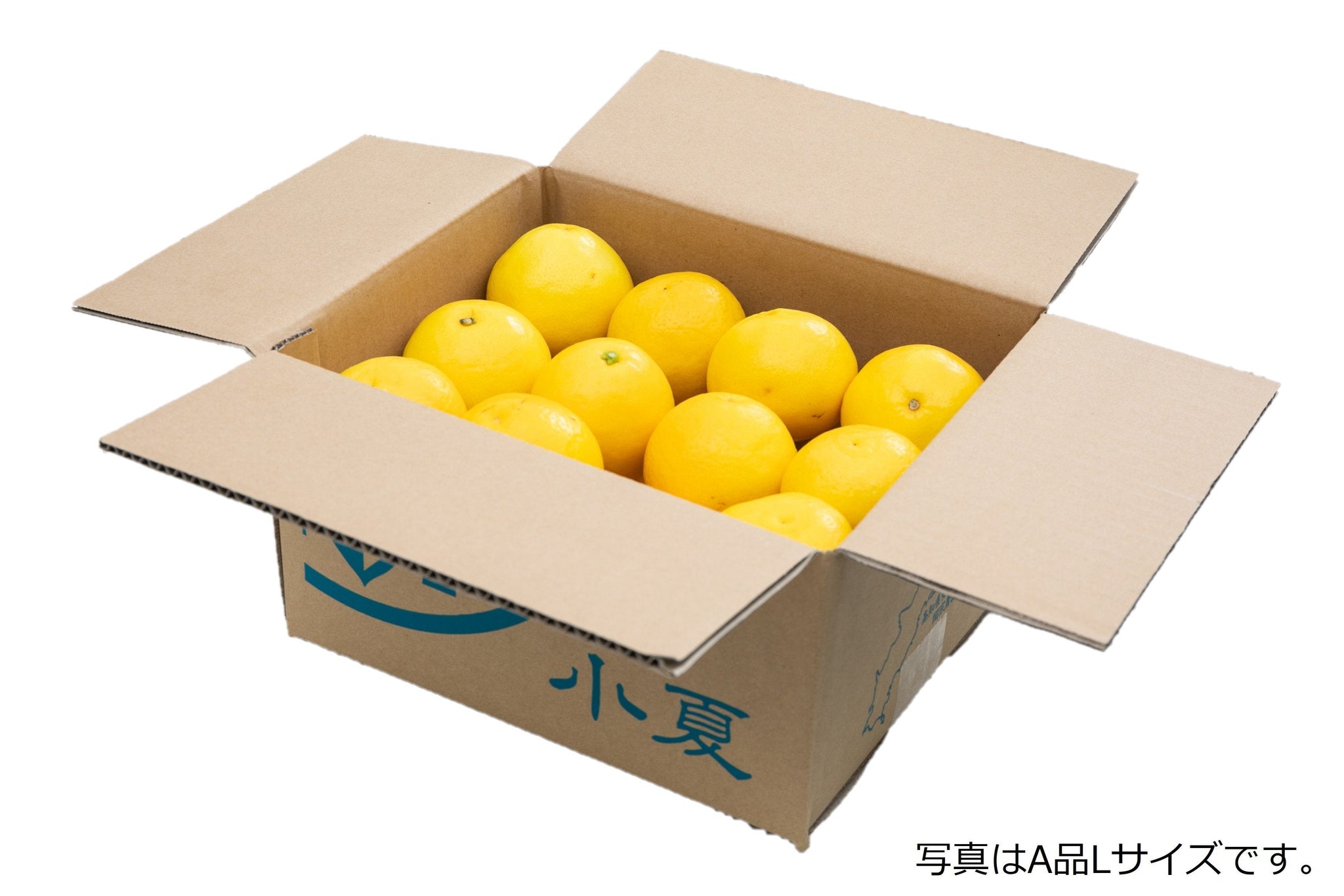 専用 マンゴーライチ 贈答用 マンゴーライチセット – 岡宗農園メリーガーデン オンラインストア