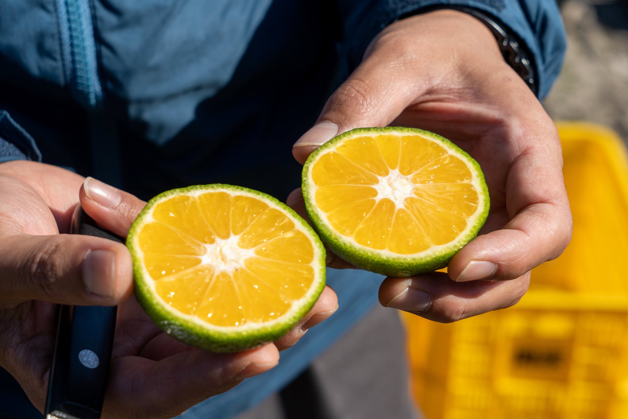ケラジの商品一覧｜岡宗農園 – 岡宗農園メリーガーデン オンラインストア